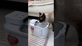 #automaticcatfeeder #catmom #petkit #businesstrip #catsoftiktok