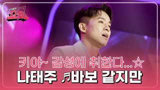 키야~ 감성에 취한다...☆ 운명의 그녀를 위한 돌직구 고백♥ 나태주 ♬바보 같지만 MBN 221012 방송