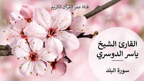 090 سورة البلد القارئ الشيخ ياسر الدوسري