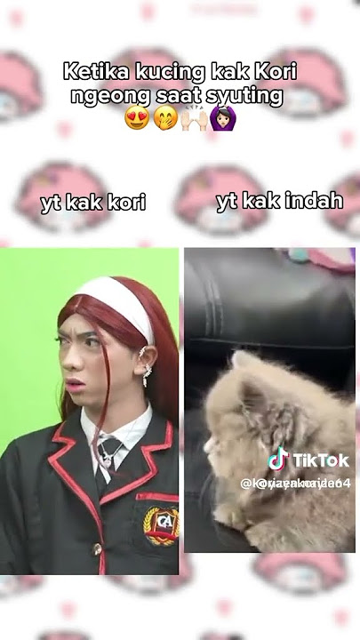 ketika kucing kk kori meong 🥰#sptrakori_official #fypgakniシ゚