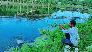 Best Hook Fish Hunting | Traditional Hook Fishing In Beautiful Natural River| Rural Fishing Bd