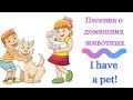 Песенка о домашних животных на английском/ My pets