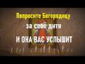 ПОПРОСИТЕ БОГОРОДИЦУ ЗА  ДИТЯ И СЕБЯ. Акафист Пресвятой Богородице пред иконой «Прибавление ума»