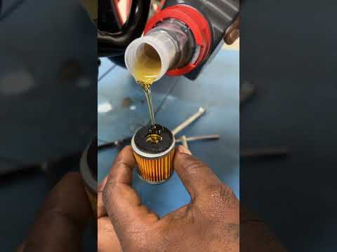 Yamaha Mt15 oil