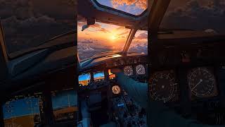 Natural profile#picture #nature #naturalpic #artist #livewallpaper #picofheday #wallpaper#picofthed