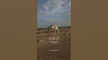 سورة الغاشية ( بصوت الشيخ #عثمان_الحداد ) #اكسبلور #المصحف #لايك #راحة_نفسية