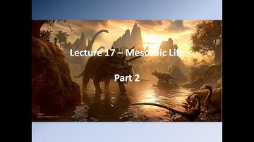 Lecture 17 – Mesozoic Life Part 2