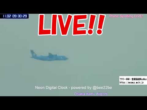 天草エアライン・みぞか号 生中継!伊丹空港!!  Plane Spotting Itami Airport 11/02/2025
