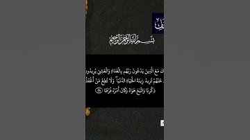 سورة الكهف الآية ٢٨ #لايك #قران #اكسبلور