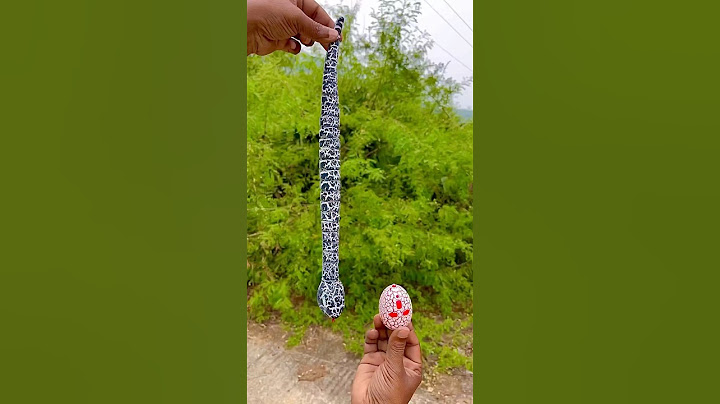 Remote Control Snake Unboxing #snake #toys #shorts #redkashshorts