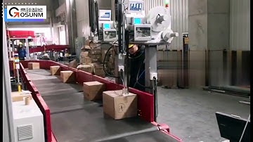 Automatic shipment waybill print & apply labeling machine for logistic warehouse