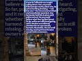 Man Tears Down Lost Cat Poster & Says Something Horrifying