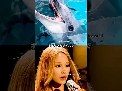 話題になったアリアナ高音チャレンジ