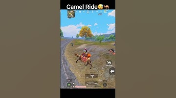 Camel Ride😅🐪 |fullrushop| #pubg #pubgmobile #bgmi #ytshorts #fullrushop #shorts
