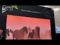 InfoComm 2026: GPO Display Introduces Direct View LED Video Wall for Indoor Solutions