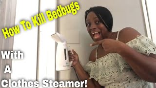 HOW TO KILL BEDBUGS | using a clothes steamer | kill them on contact!