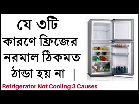 ভিডিও: আপনার কি গরম না হওয়া গ্যারেজে ফ্রিজার রাখা উচিত?