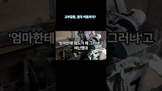 고부갈등 결국 이혼까지? #결혼 #남편중재 #가족문제 #고부갈등