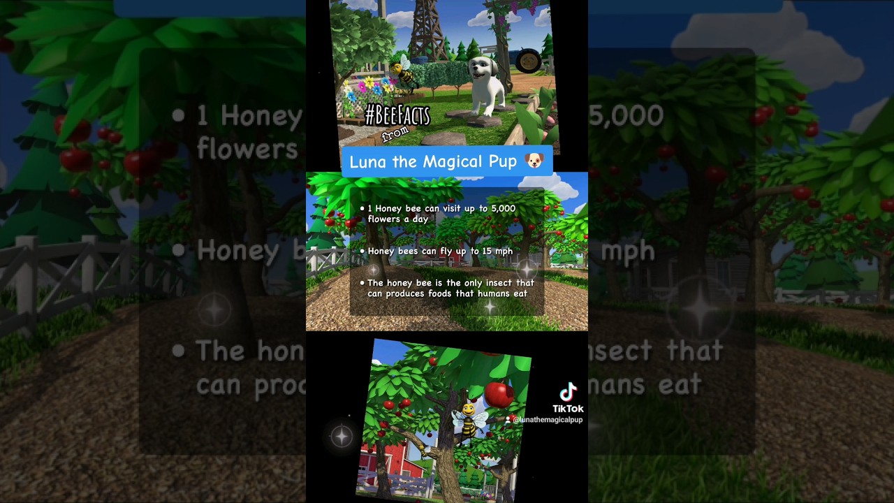 Let's Learn About Bees! 🐝 🐝 Bee Facts for Kids