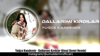 TUĞÇE KANDEMİR                                    DALLARIMI KIRDILAR Resimi