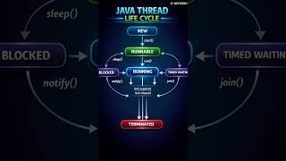Thread Life Cycle ✨ #java #javadeveloper #coding #programming #education #interviewquestions