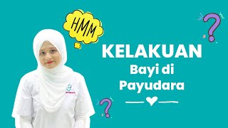 Kelakuan Bayi Di Payudara