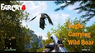 Far Cry 4 - Eagle carrying wild pig  or boar very near to me