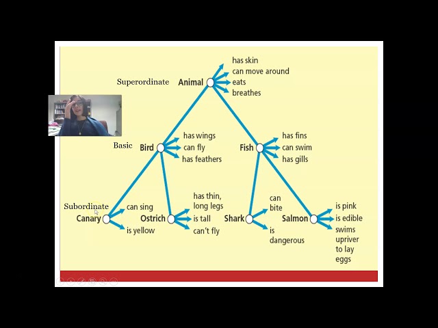 semantic network model of memory