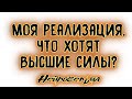 МОЯ РЕАЛИЗАЦИЯ... ЧТО ХОТЯТ ВЫСШИЕ СИЛЫ? Таро онлайн расклад.