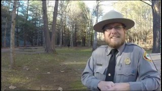 What Do Rangers Do