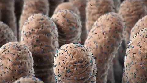 Beneficial Bacteria - Restoring Nature’s Balance - NobleBio - Cortical Studios | MoA Animation