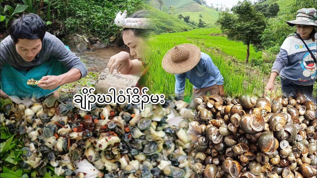 Go collect shellfish in the fields and cook them. - YouTube