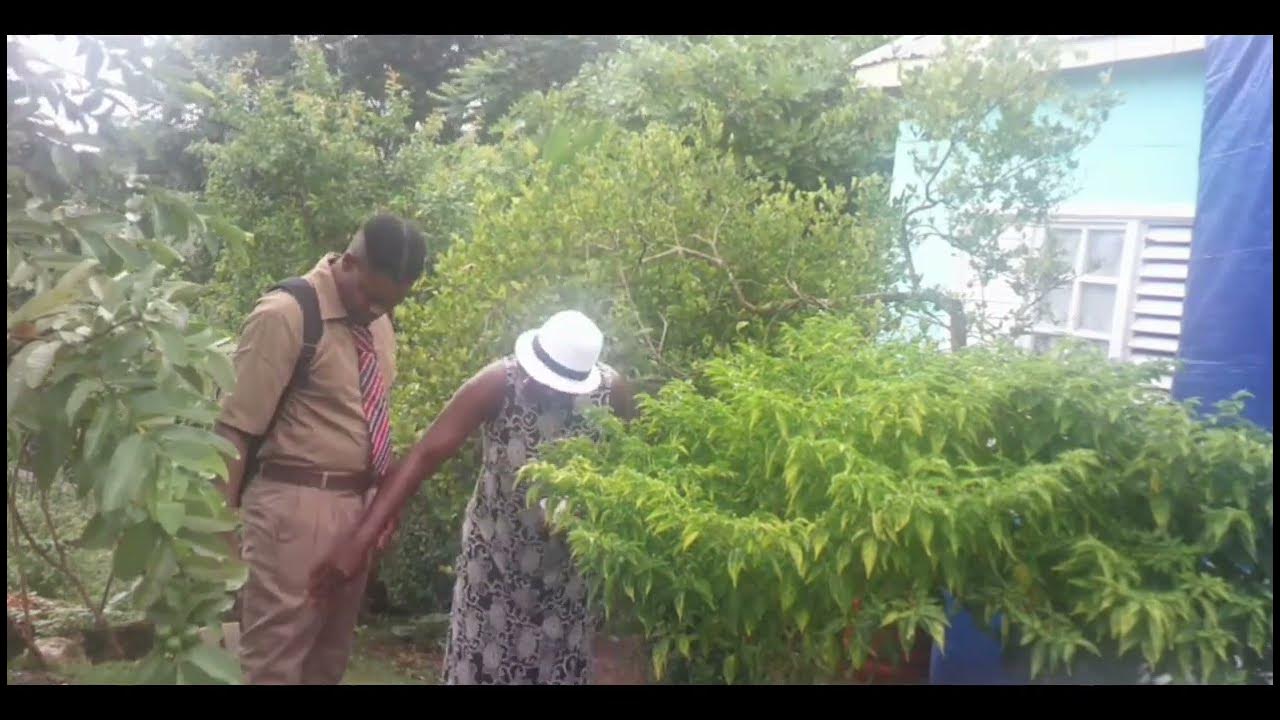 "FAMILY MATTERS ( FULL JAMAICAN MOVIES 2024 )" JAMAICAN PLAYS 2024 JAMROCK HOME YouTube