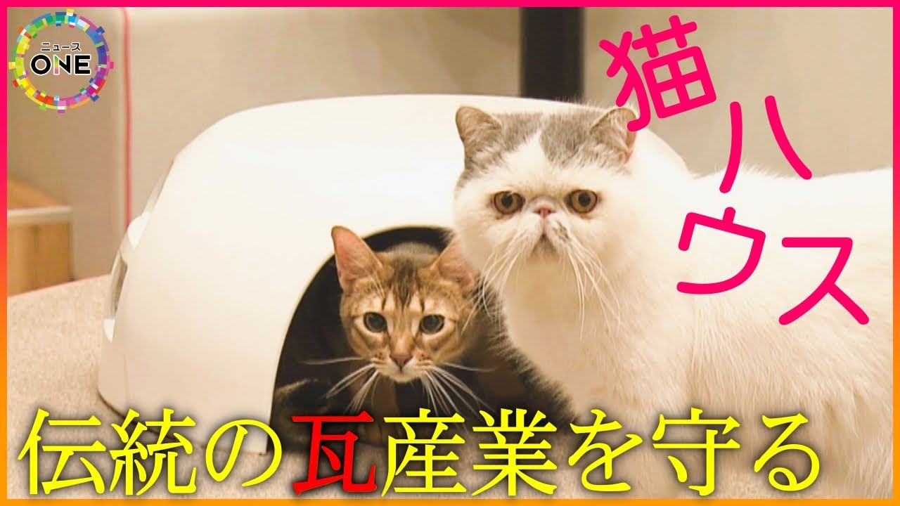 Though it's expensive at 60,000 yen, over 200 units have