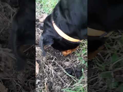 Butch Looking for the Next Big Thing!