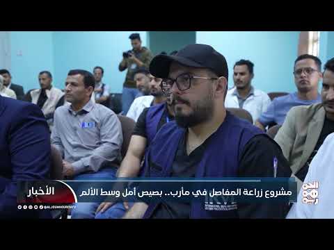 مشروع زراعة المفاصل في مأرب... بصيص أمل وسط الألم