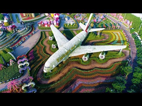Emirates A380 in Dubai Miracle Garden | Emirates Airline