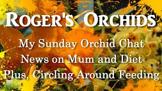 My Sunday Orchid Chat - News on Mum and Diet Plus, Circling Around Feeding