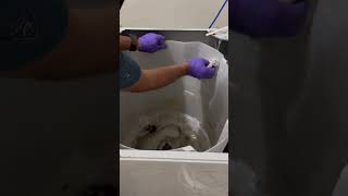 大豐水管清洗職人 -  大豐水管清洗職人 -