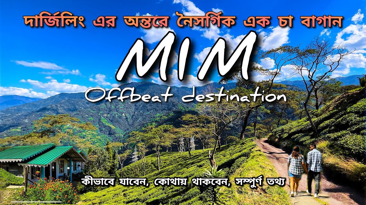 Mim Tea Estate Darjeeling | Mim Tea Estate Homestay | Offbeat Darjeeling | Hill View Homestay