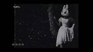 Run rabbit Slowed down