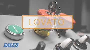 Lovato