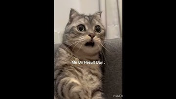 Thumbnail of Me And Exams 🥲😂….