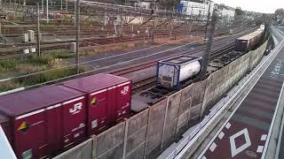 JR貨物・横浜羽沢駅、跨線橋より上りコンテナ列車を撮影。16時35分頃。