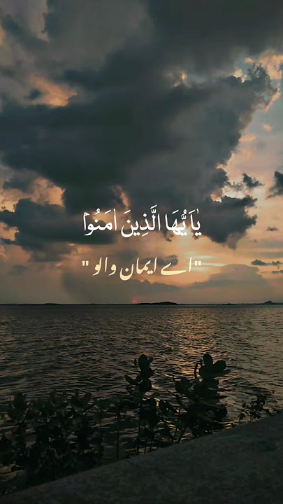 Yaayuha Alladhin Amanuu #quran #tilawat #viralvideo #abdulrahmanmossad
