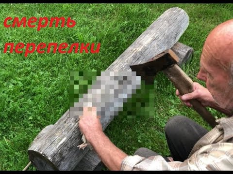 Анонс! Убийство на даче. Смерть перепелки ! Скоро полная серия! / Лиза Упс 1#