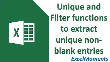Unique and Filter functions to extract unique non-blank entries