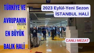 İstanbul Balık Hali ve Balık Mezatı Eylül 2023 Av Yasağı Kalktı #mezat #balık @yoldaneyiyorum