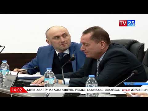 რეზოლუციის პროექტი დამტკიცდა