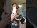 This parrot knows his bwords 